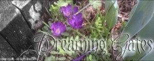 Welcome to the Dreaming Gates Blog!